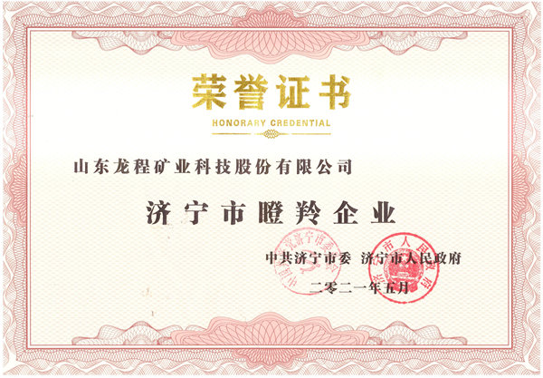 2021济宁市瞪羚企业